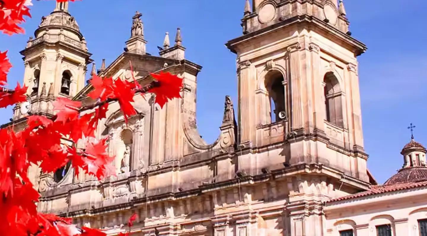 background-image